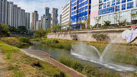 Cheonggyecheon Stream: Uma Oásis Refrescante no Coração Pulsante de Seul!