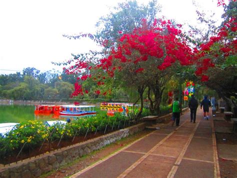 Parque Shili: Um Refúgio Verde Encantador e Ideal para Piqueniques!