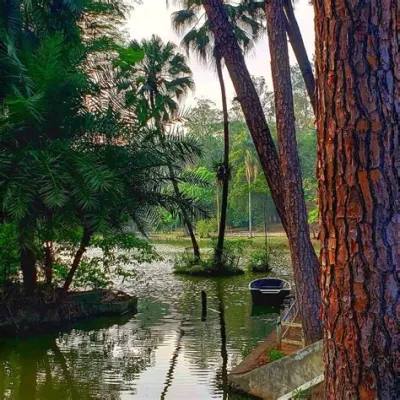 O Parque Florestal de Bengbu - Um Oásis Verde de Paz e Relaxamento em um Mar de Concreto!